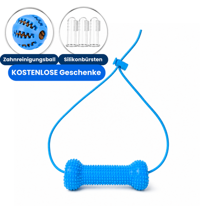PawMotion™ BocaGrip Zahnpflege für Hunde