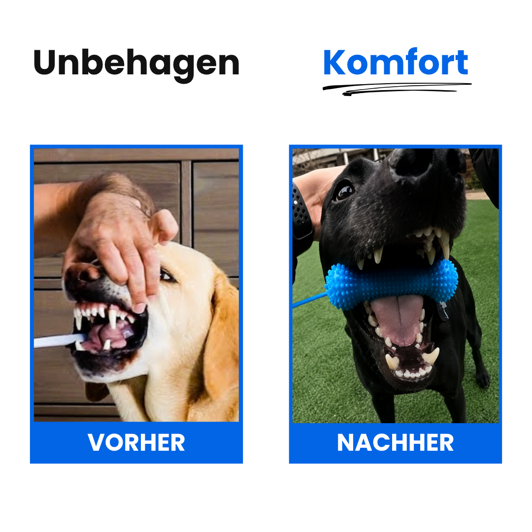 PawMotion™ BocaGrip Zahnpflege für Hunde