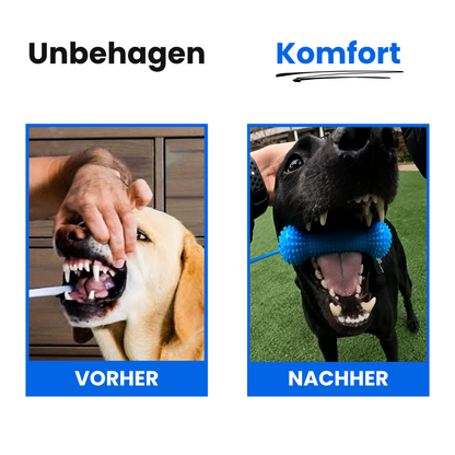 PawMotion™ BocaGrip Zahnpflege für Hunde